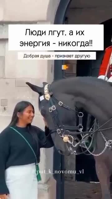 Животные всё чувствуют