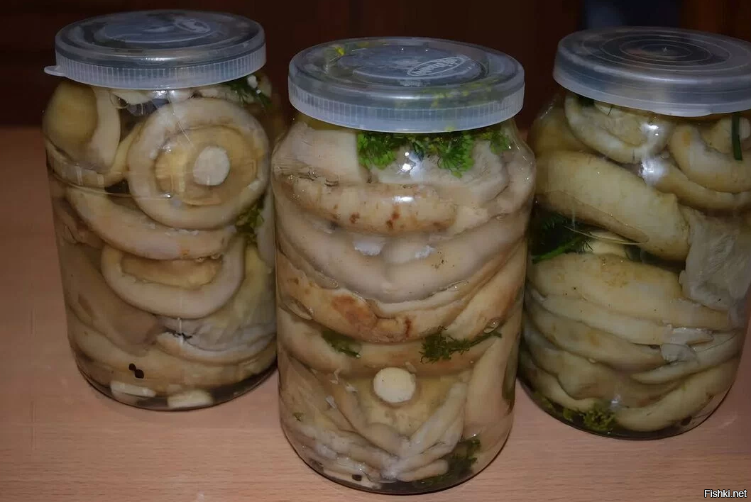 Грибочки