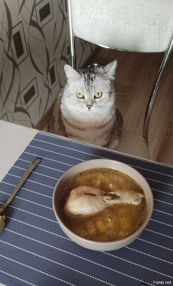 Доброе утро