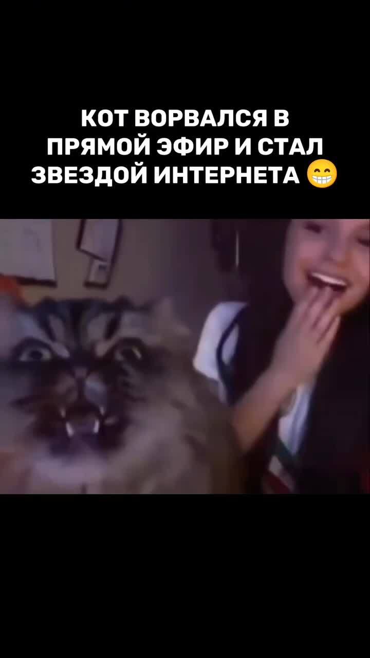 Спел и гордо удалился)