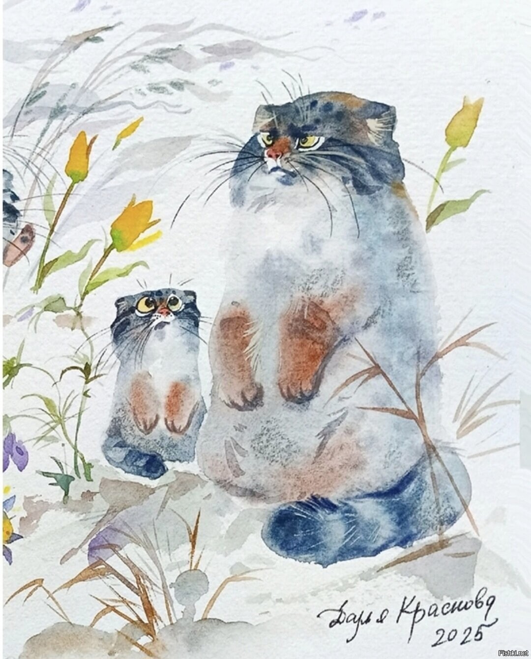 Солянка
