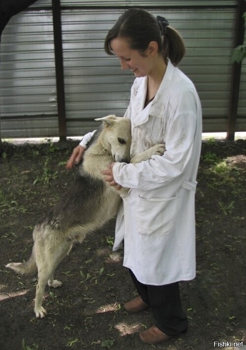 Ласки хочется всем