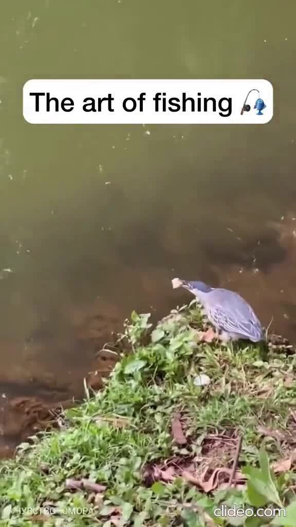 Эксперимент удался