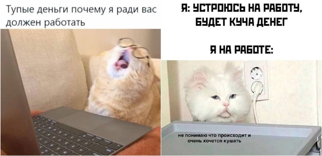 Отмазка дня: зумер подробно объяснил, почему он не вышел на работу