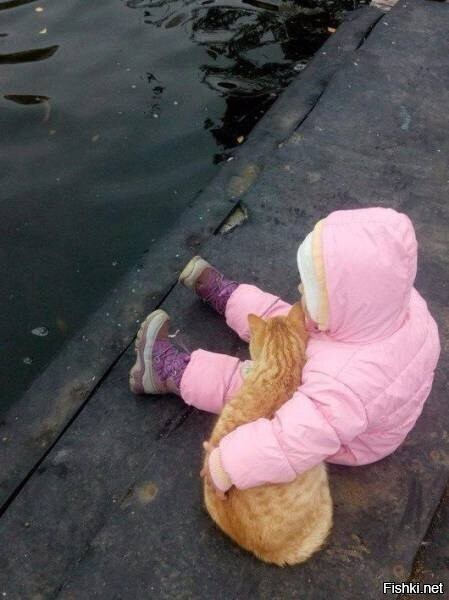 человек и кошка