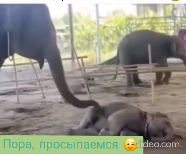Понедельник