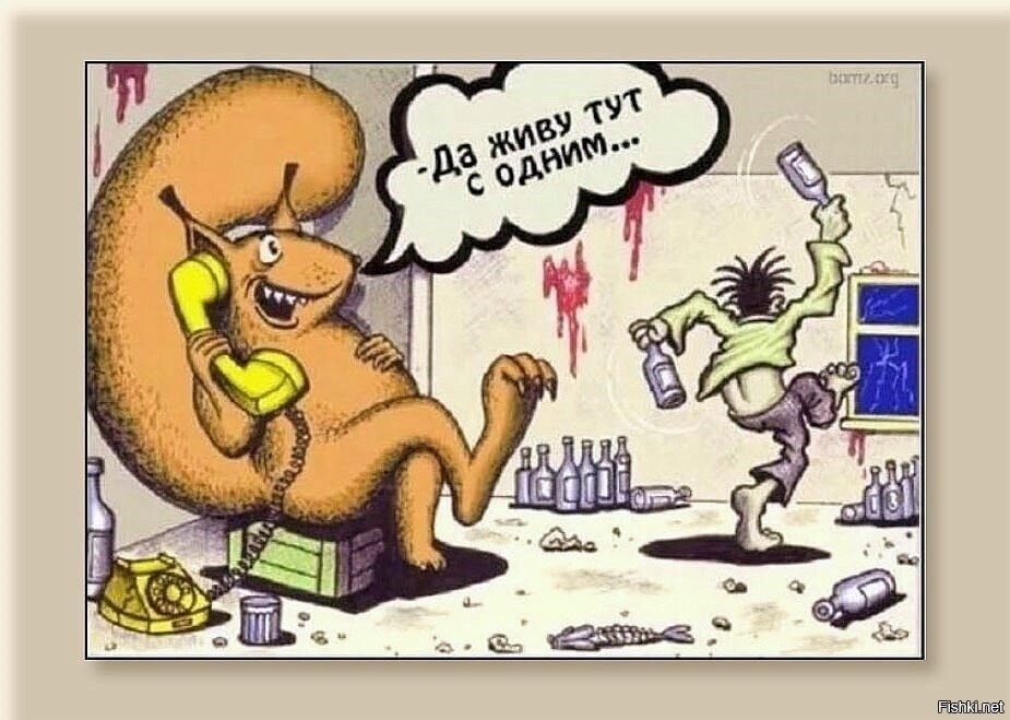 Солянка