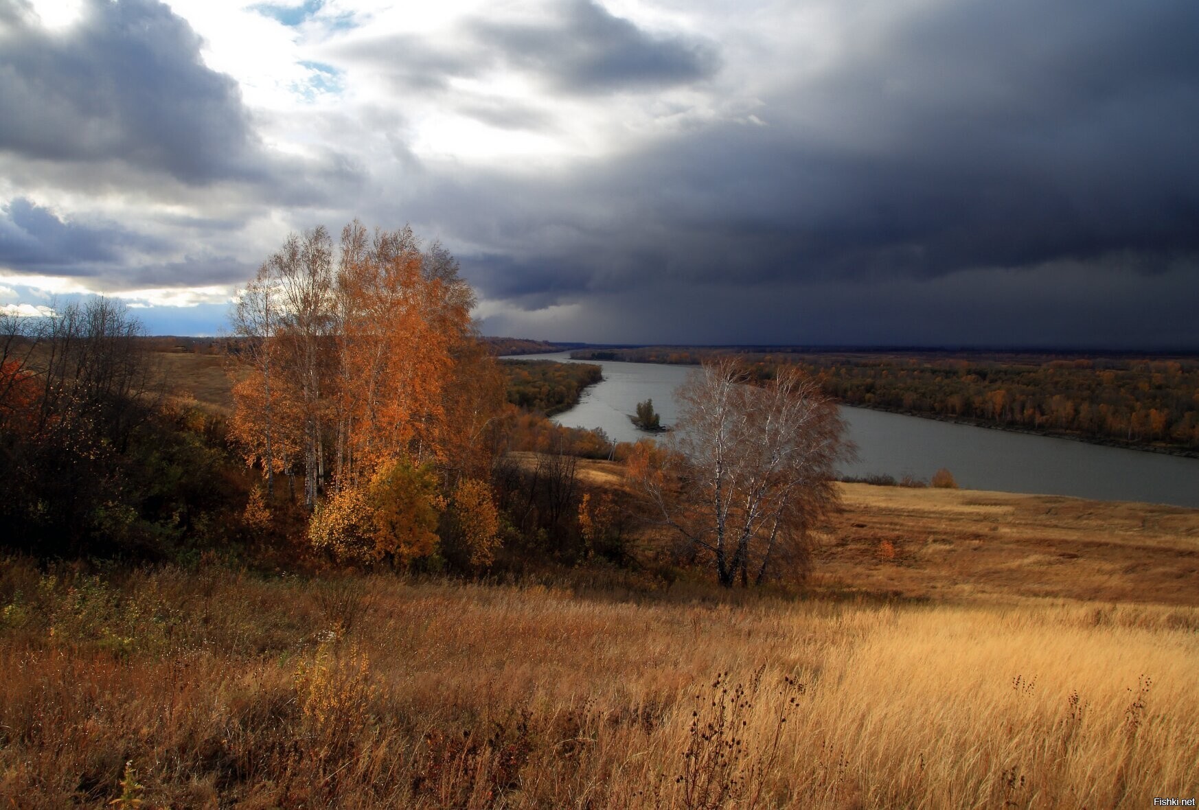 Солянка
