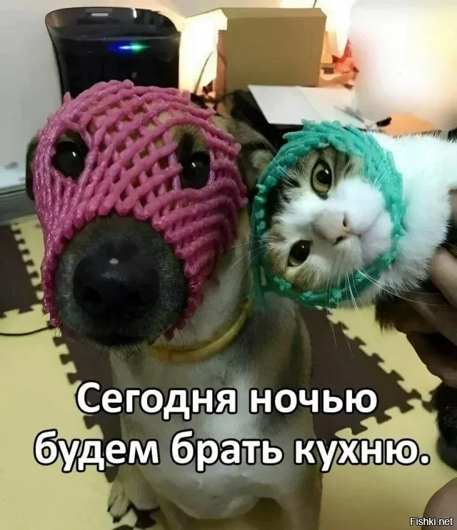 Солянка