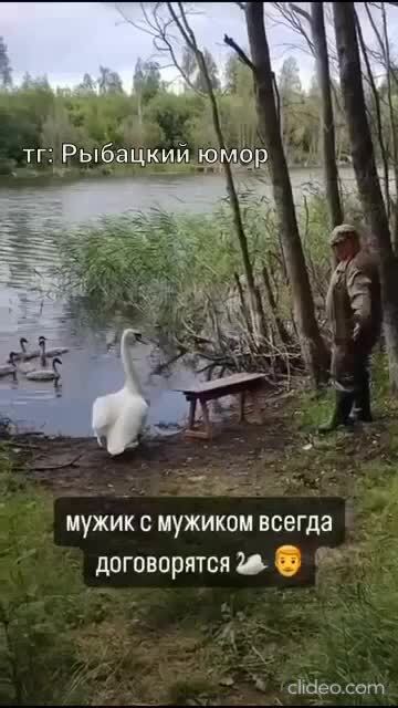 Попросил