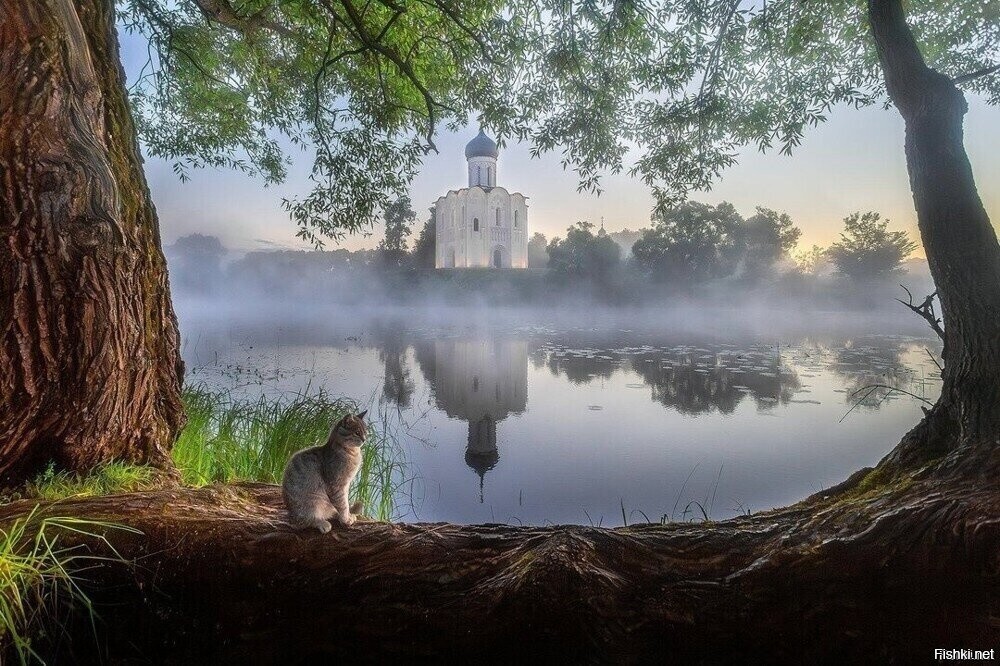 Солянка