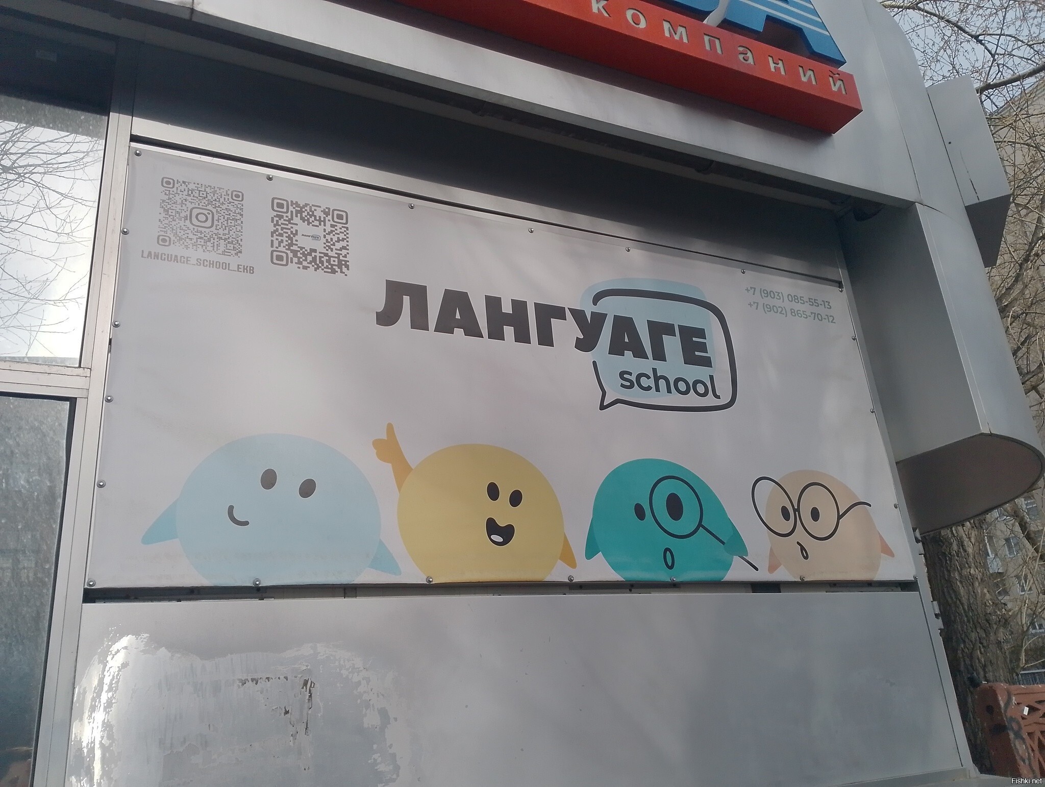 Солянка