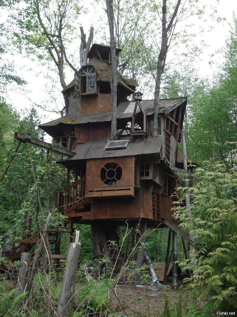 Солянка