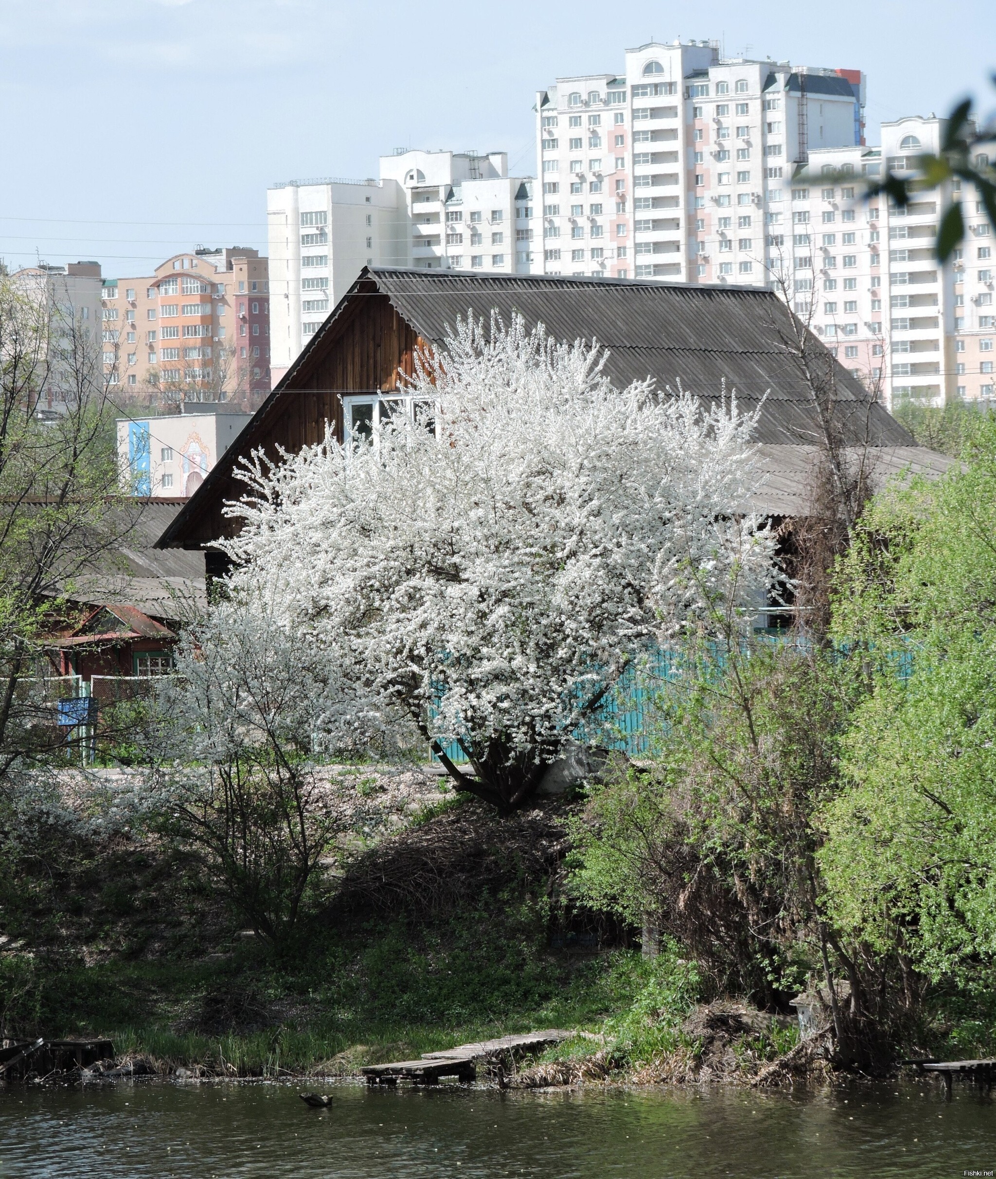 Весна в городе
