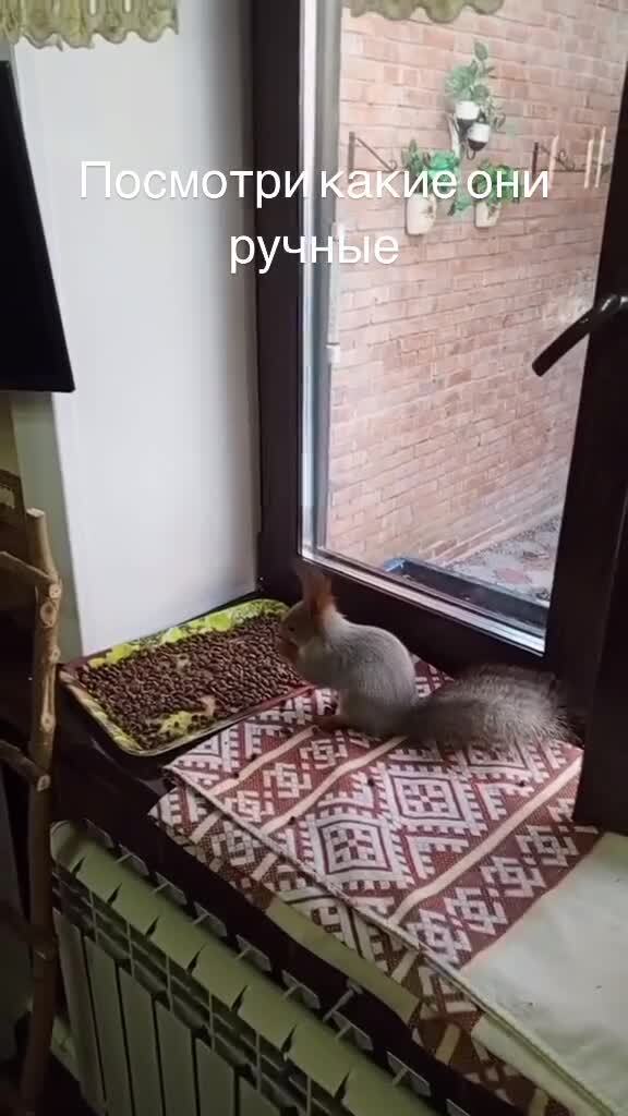 Доброта)