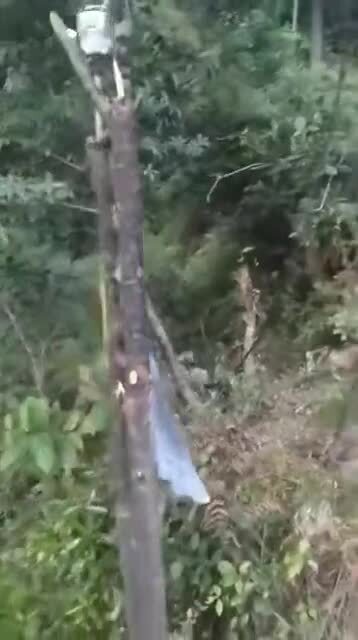 Когда соседи достали