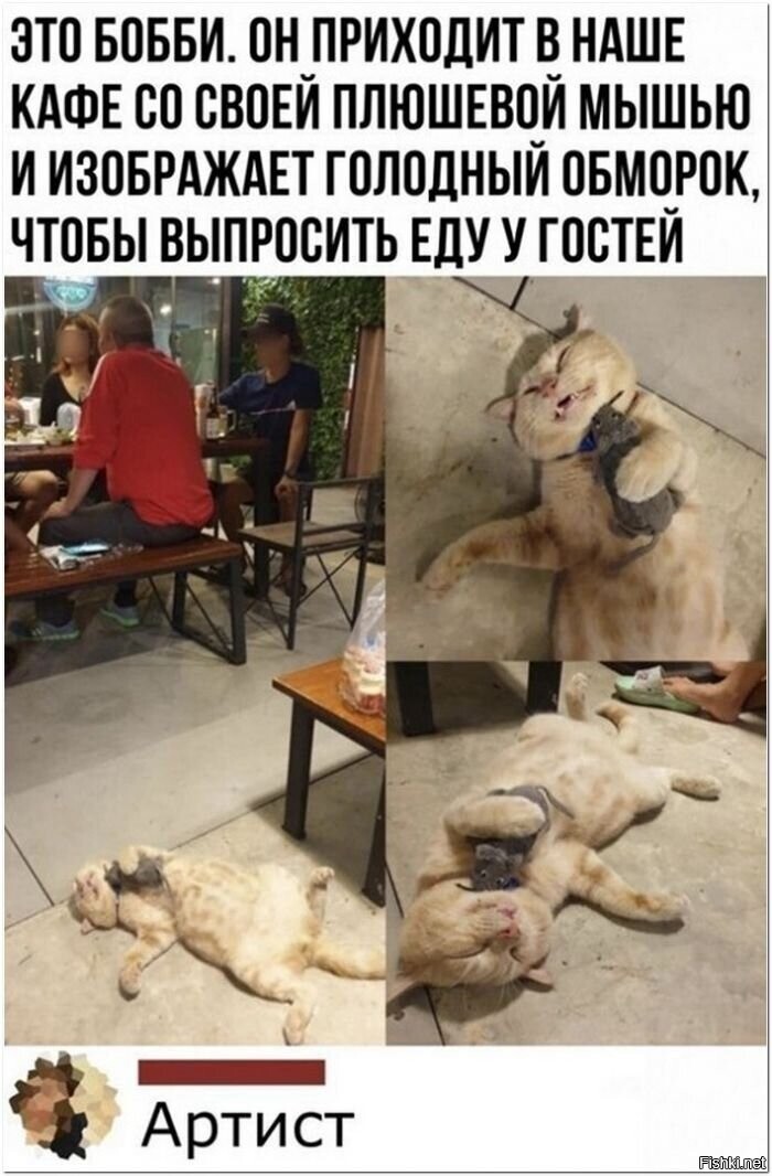 Солянка