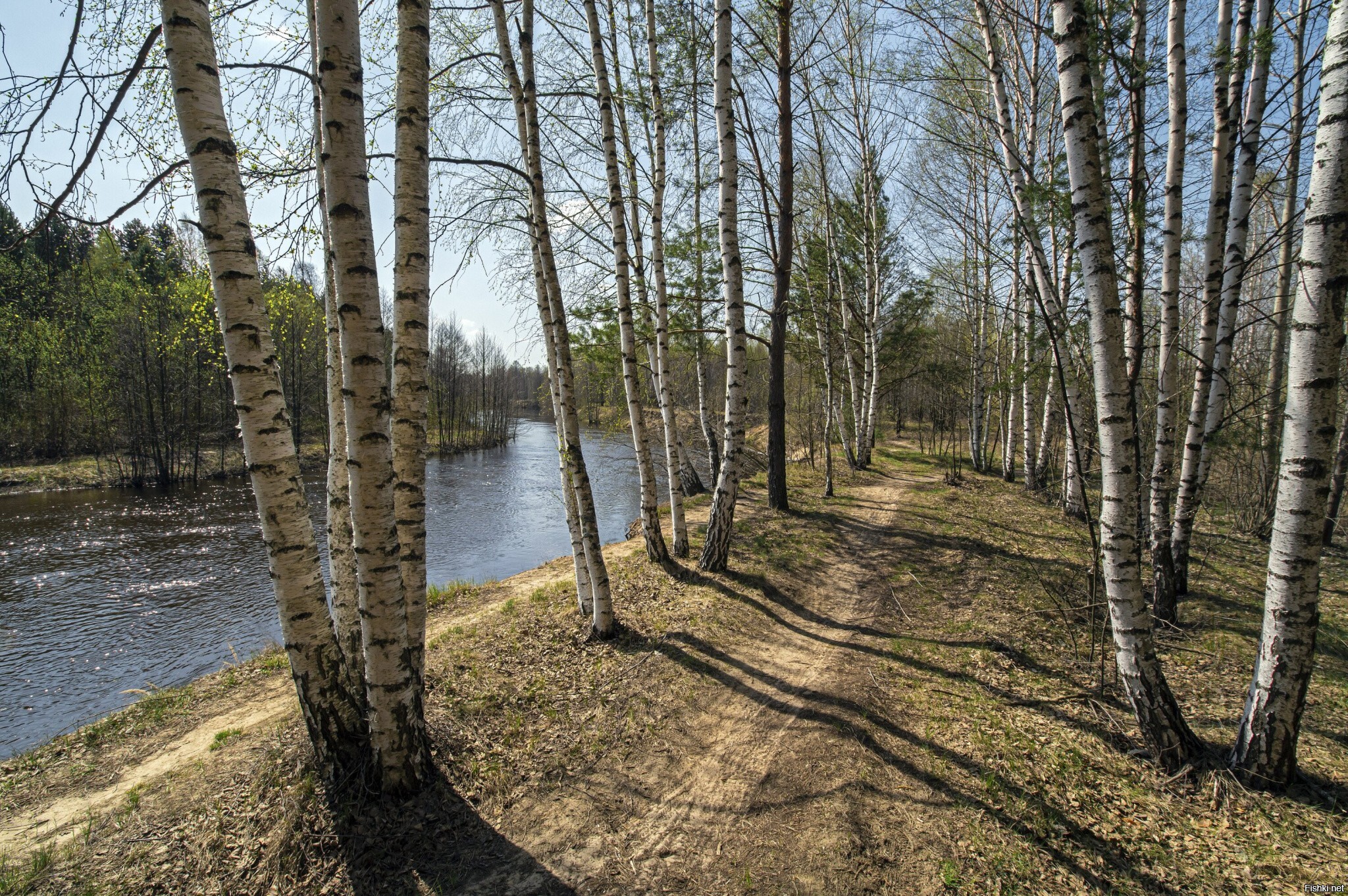 Солянка
