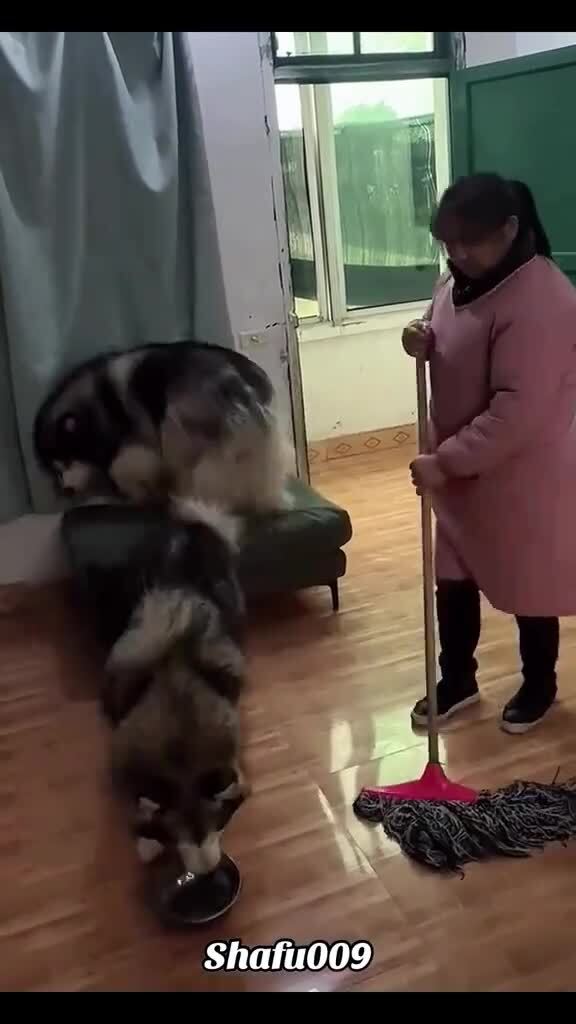 Дисциплина прежде всего)