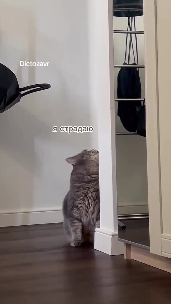 Саня, будь человеком