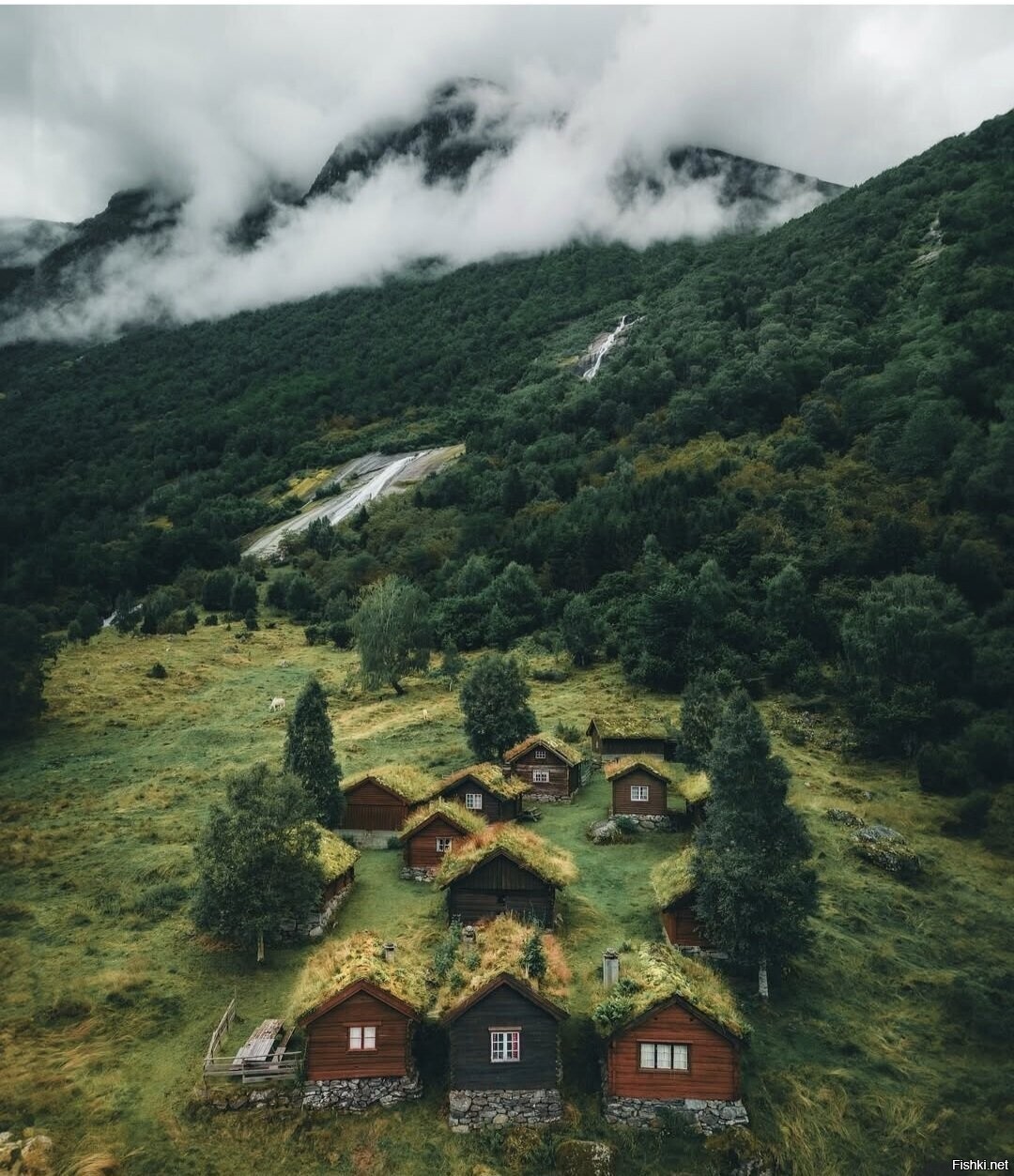Солянка