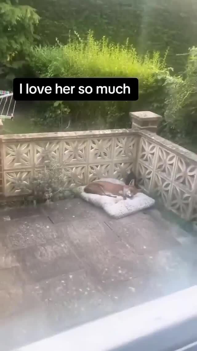 Вот 