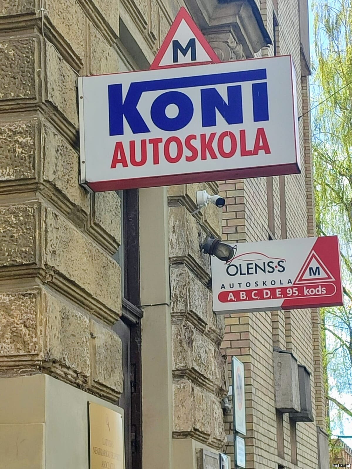 Рижские автошколы для коней и оленей