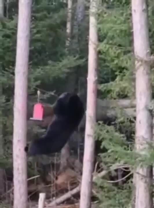 Ужин