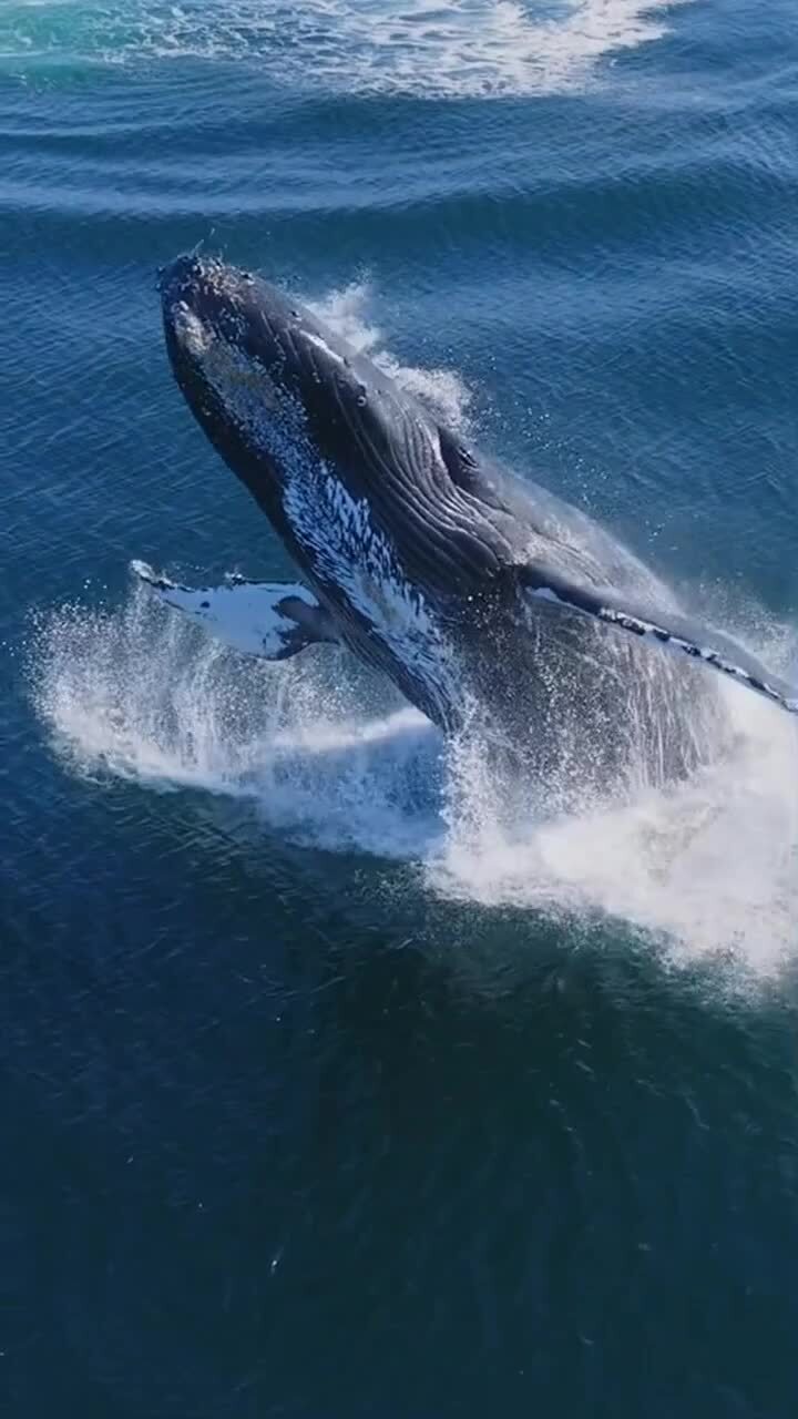 Мощно