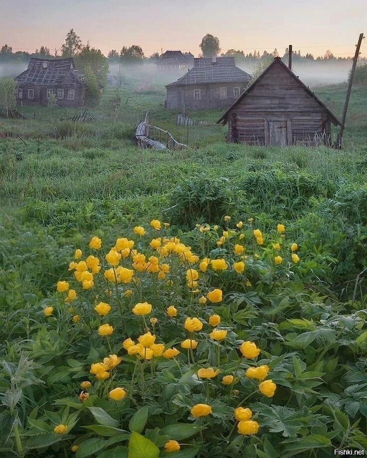 Солянка