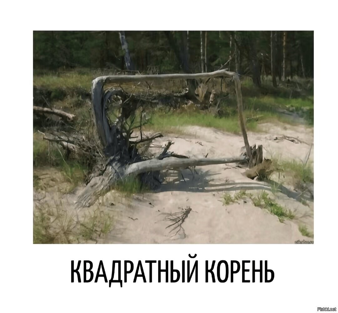 Так вот ты какой