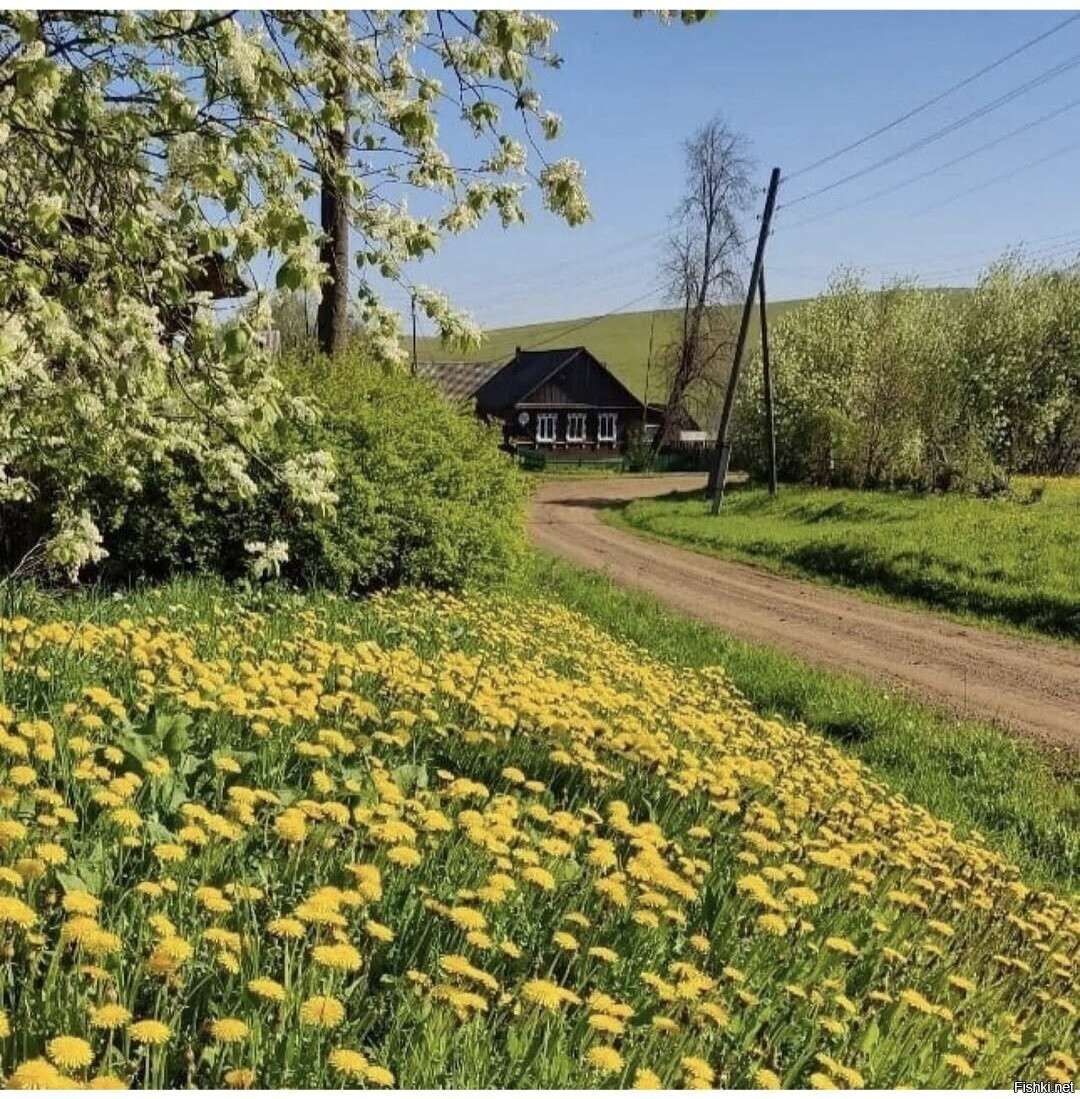 Солянка