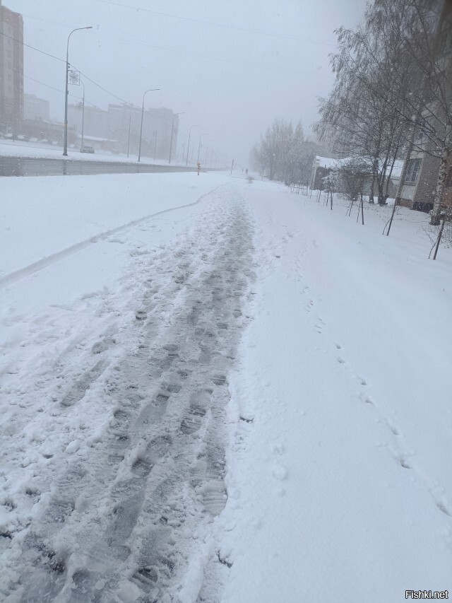 Вчера с 5 утра снег, вечером дождь