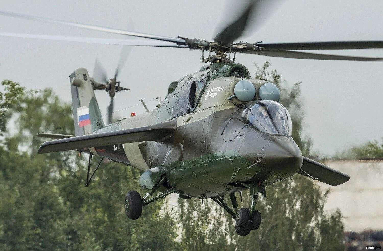 Солянка
