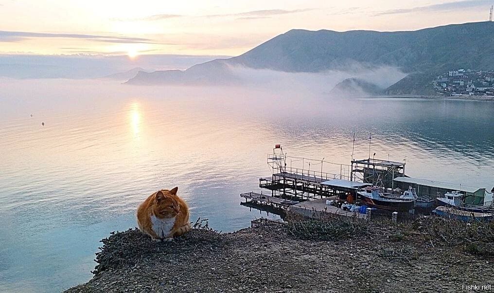 Крым