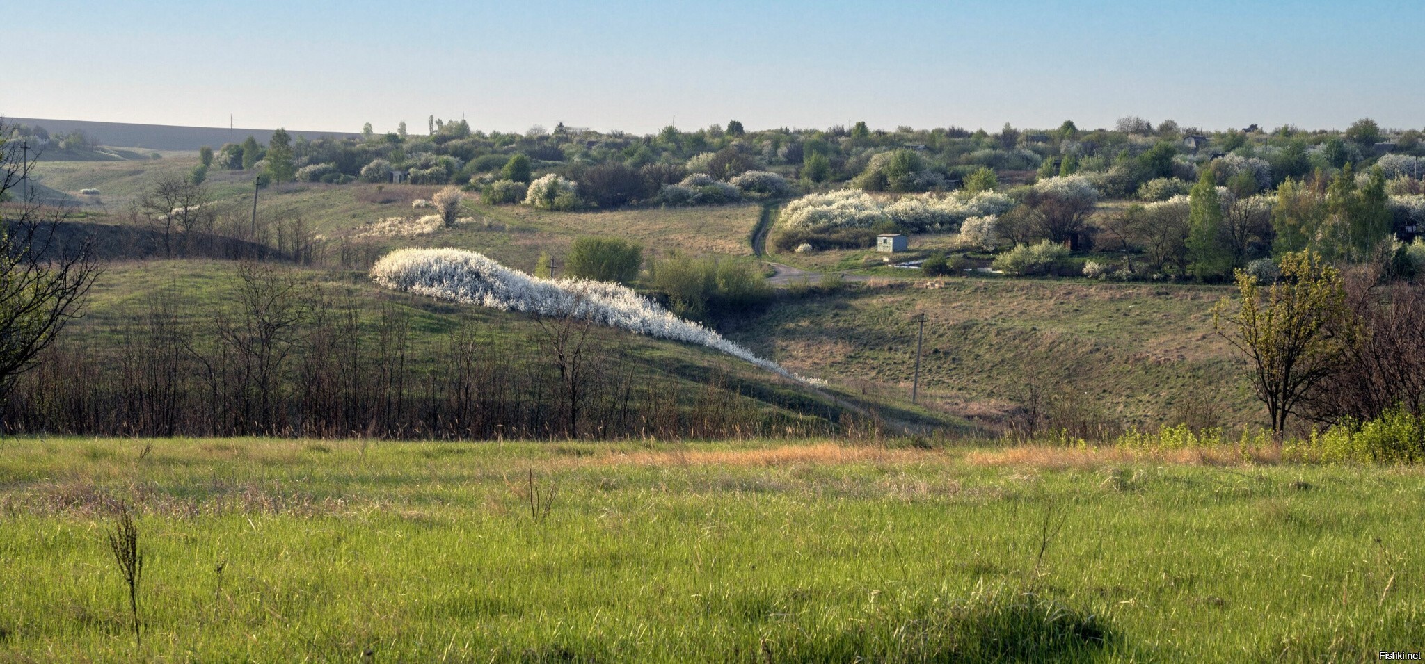 Солянка