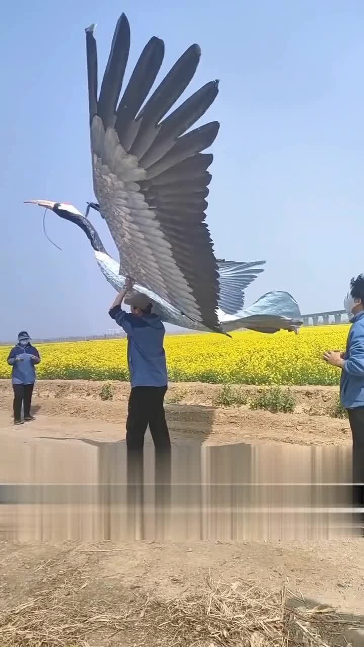 Классно придумали