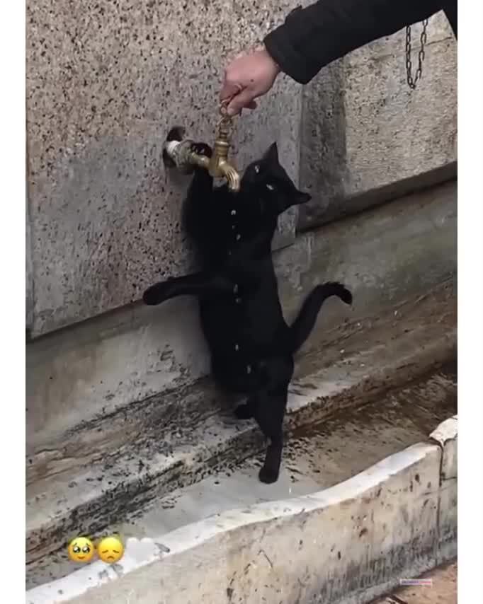 Жажда)