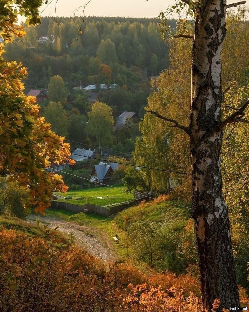 Солянка