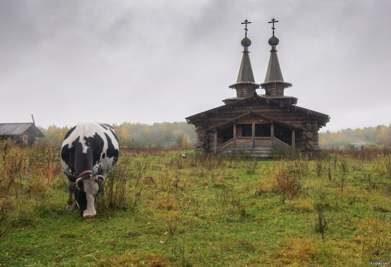 Солянка
