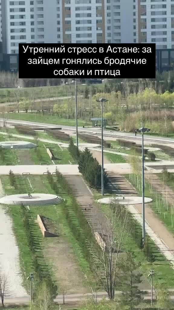 Экшн в Астане)