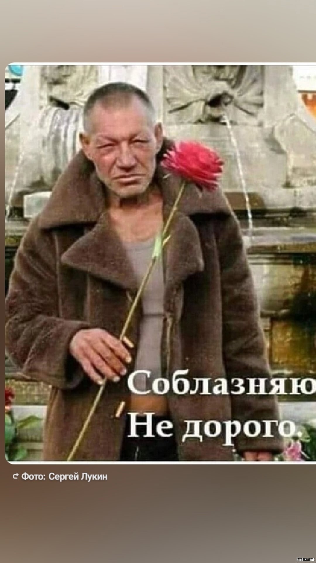 Солянка