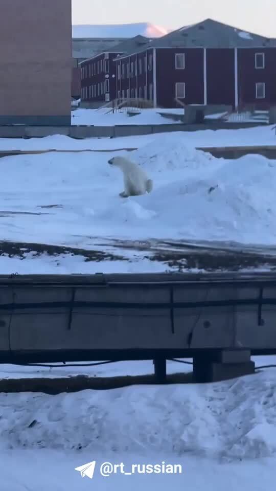 «Ушёл