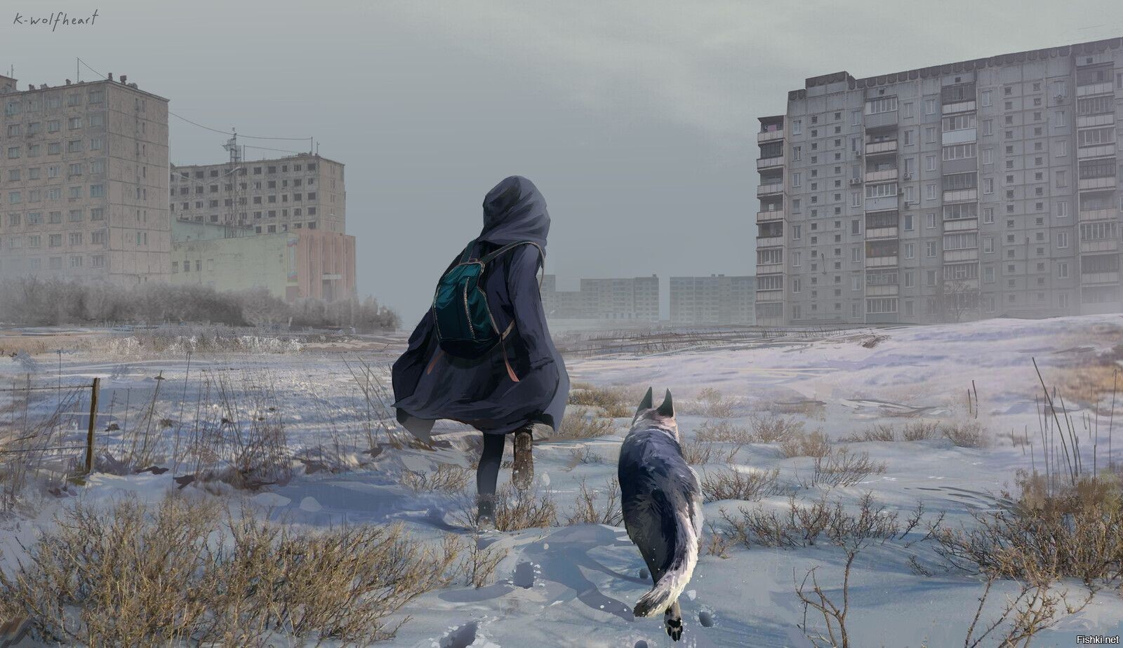 Солянка