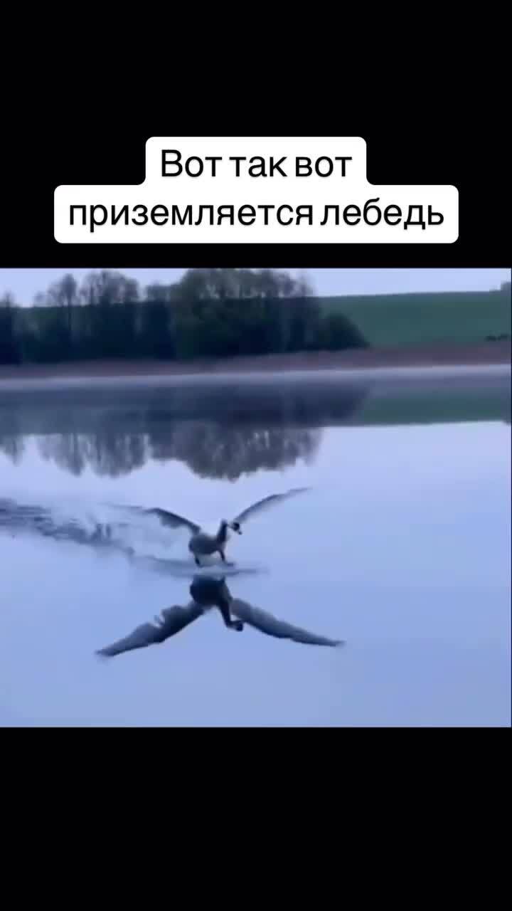 Чёткая посадка