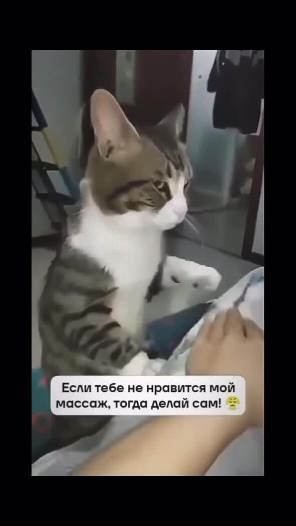 Хорошего по маленько)