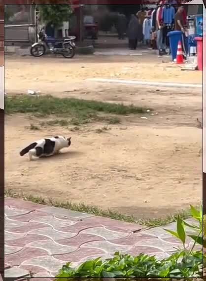 Не очень то и хотелось
