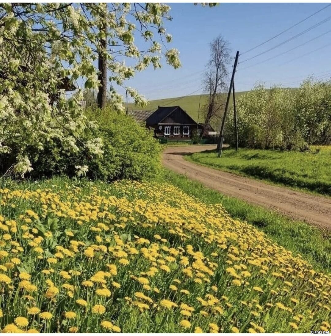 Солянка