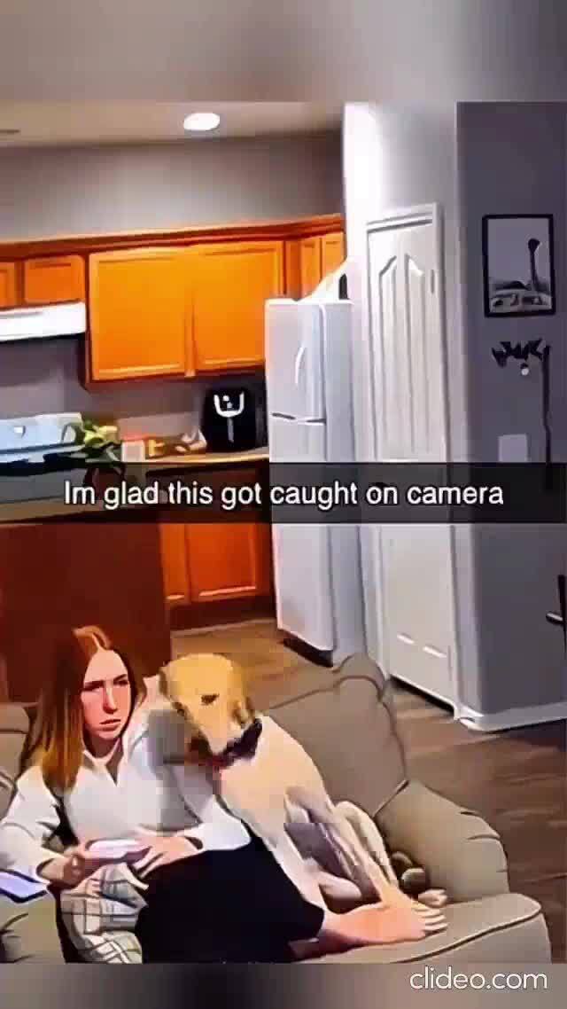 Верный Друг 