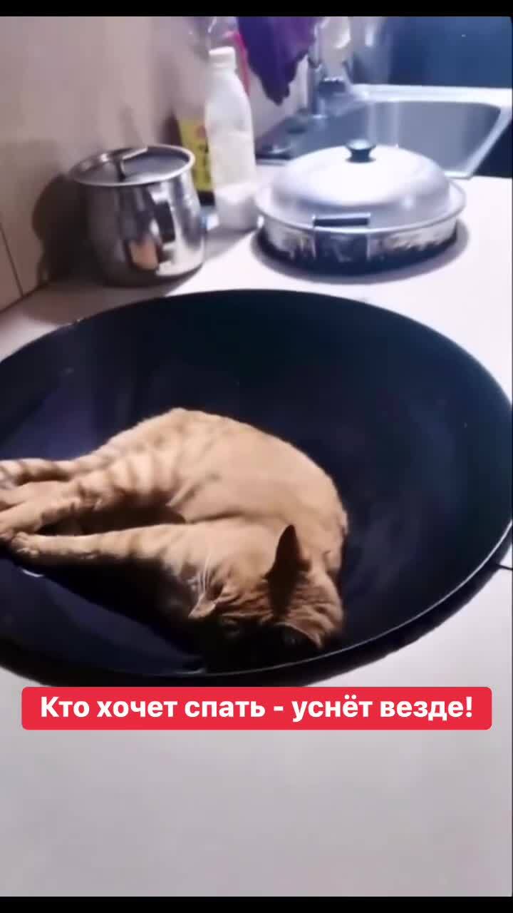 Сон - это святое)